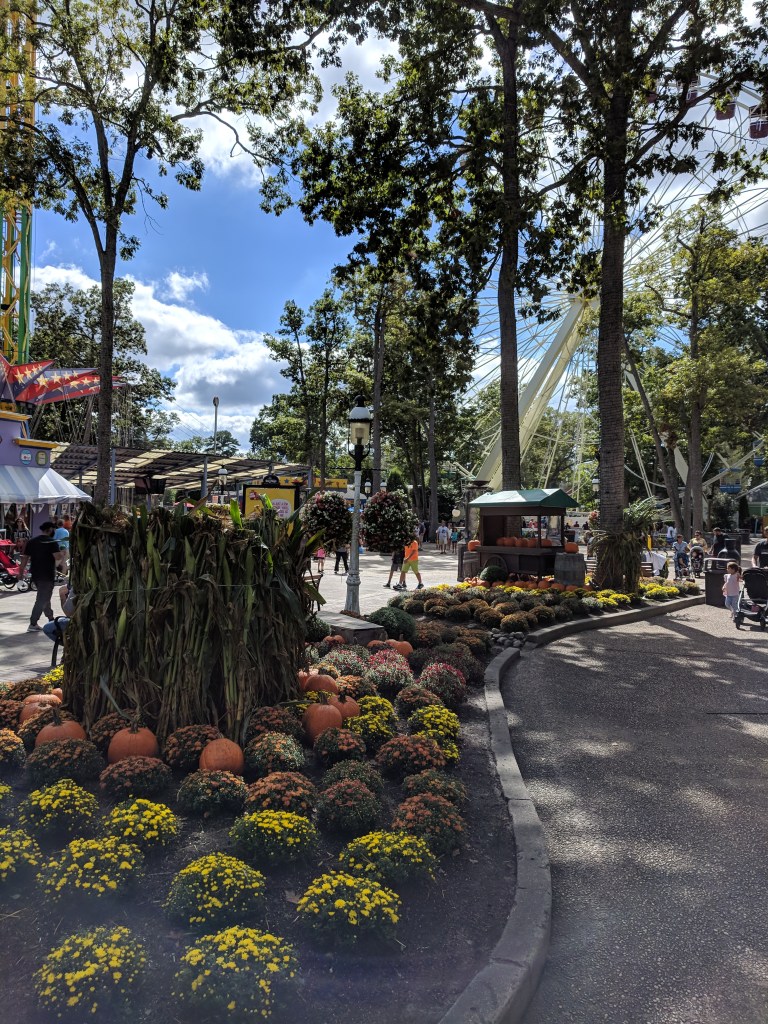 IMG_20180915_143613